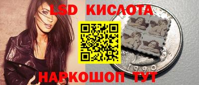 соль ск Камень-на-Оби